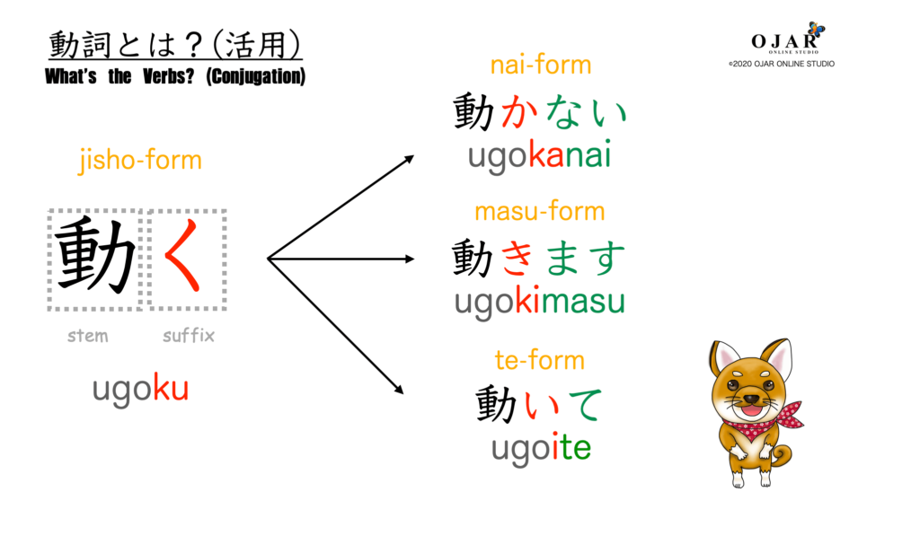 動詞とは？（活用） verbs 2