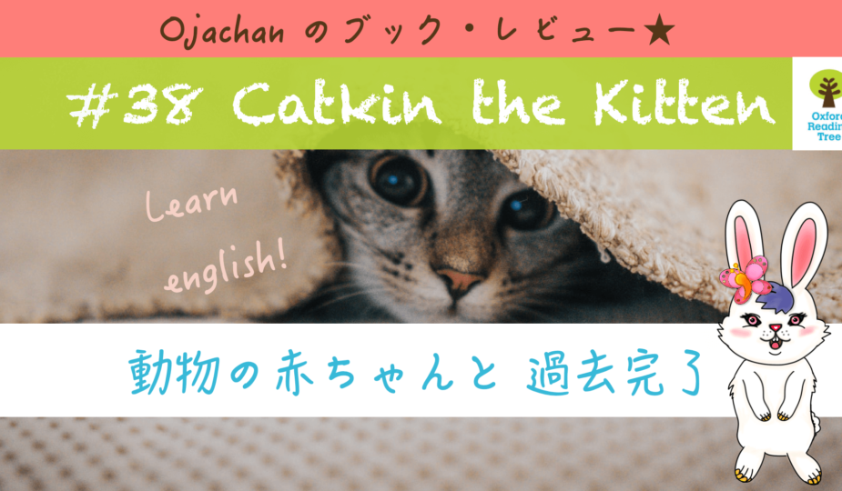 catkin the kitten Oxford reading tree