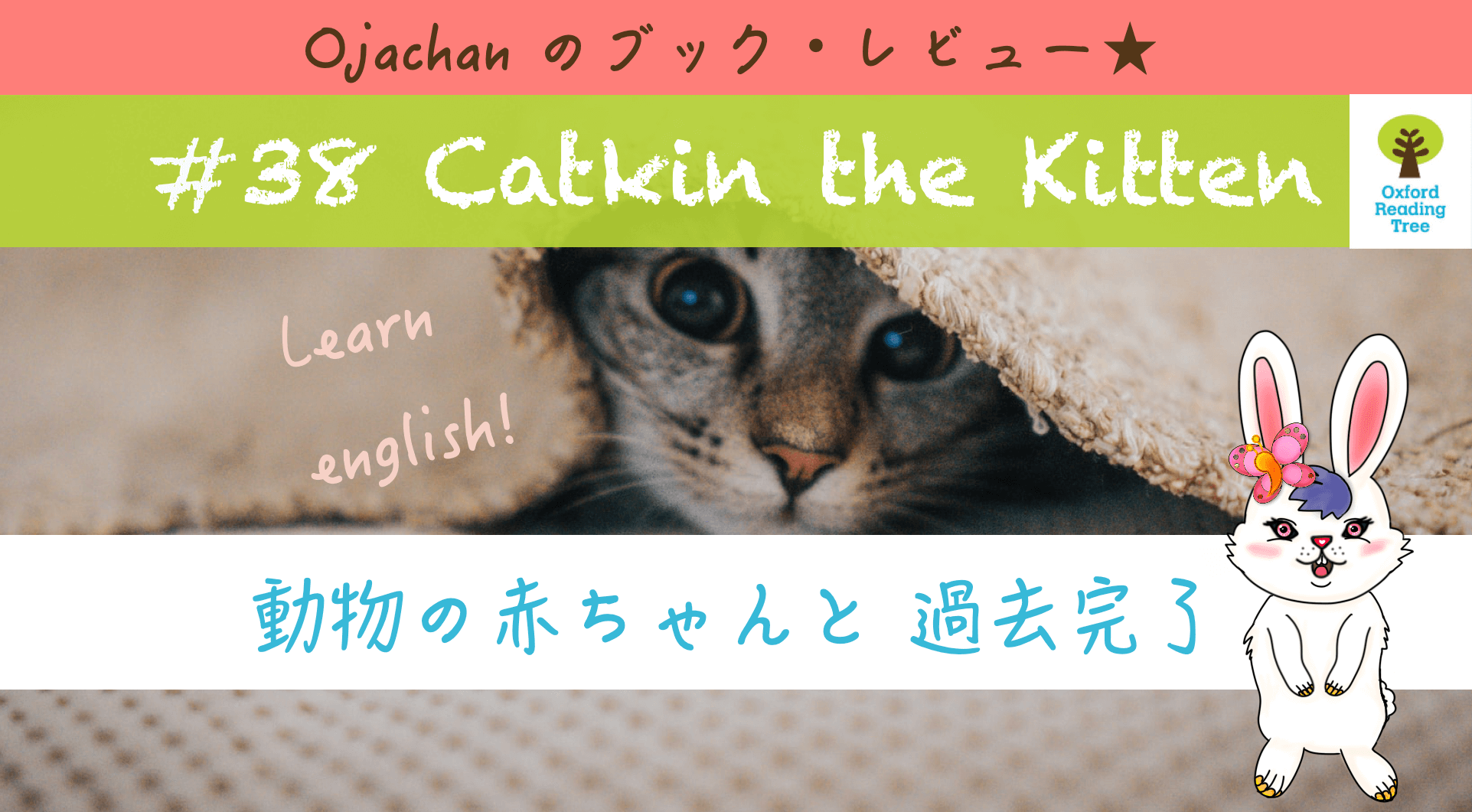 ORT Level 1+】#38 Catkin the Kitten のお話。 - OJAR ONLINE