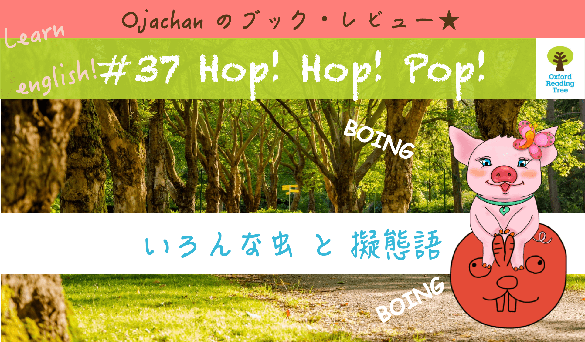 絵本・児童書 Oxford Reading treetops8-13(18)14-20(21) - 絵本