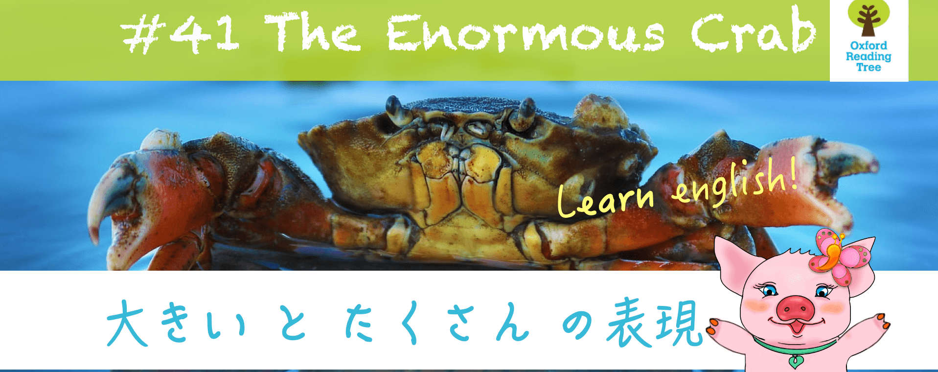 the enormous crab オックスフォードリーディングツリー