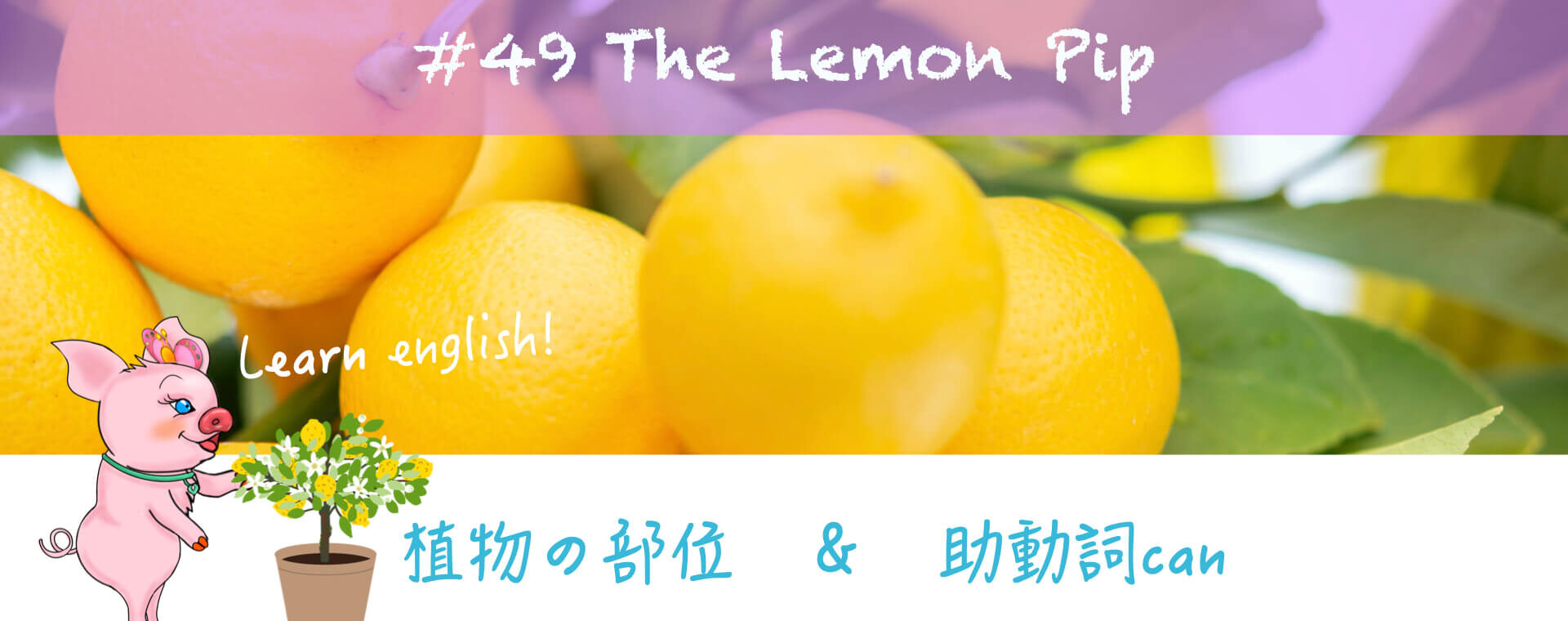 #49 The Lemon Pip