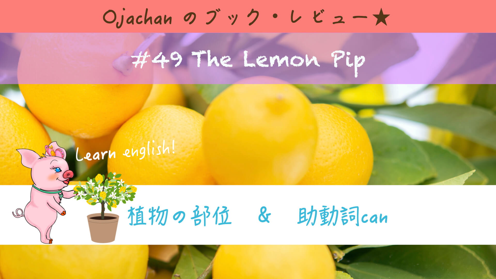 【ORT Level 1+】49 The Lemon Pip のお話。 OJAR ONLINE STUDIO